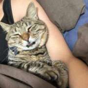 ヒメ日記 2025/11/21 22:48 投稿 しきさん いけない奥さん 十三店