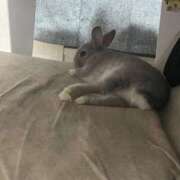 ヒメ日記 2025/11/22 23:38 投稿 しきさん いけない奥さん 十三店