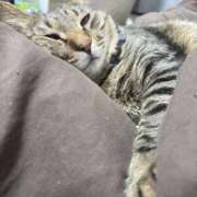 ヒメ日記 2025/12/08 22:18 投稿 しきさん いけない奥さん 十三店