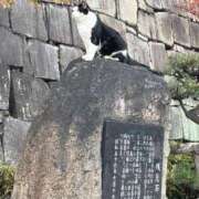 ヒメ日記 2025/12/10 22:46 投稿 しきさん いけない奥さん 十三店