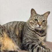 ヒメ日記 2025/12/26 22:48 投稿 しきさん いけない奥さん 十三店