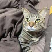 ヒメ日記 2026/02/05 21:55 投稿 しきさん いけない奥さん 十三店