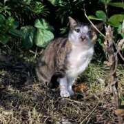 ヒメ日記 2026/02/15 22:45 投稿 しきさん いけない奥さん 十三店