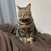 ヒメ日記 2026/03/04 22:08 投稿 しきさん いけない奥さん 十三店