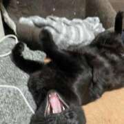 ヒメ日記 2026/03/15 23:28 投稿 しきさん いけない奥さん 十三店