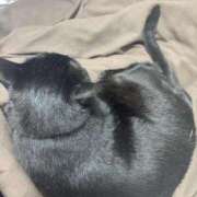 ヒメ日記 2026/04/03 23:23 投稿 しきさん いけない奥さん 十三店