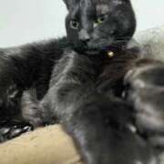 ヒメ日記 2026/04/26 22:08 投稿 しきさん いけない奥さん 十三店