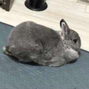 ヒメ日記 2026/05/12 20:58 投稿 しきさん いけない奥さん 十三店