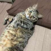 ヒメ日記 2026/05/18 20:48 投稿 しきさん いけない奥さん 十三店