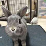 ヒメ日記 2025/07/23 23:58 投稿 しきさん いけない奥さん 梅田店