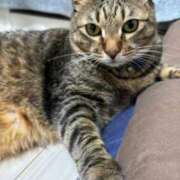 ヒメ日記 2025/07/27 22:38 投稿 しきさん いけない奥さん 梅田店