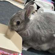 ヒメ日記 2025/08/17 22:39 投稿 しきさん いけない奥さん 梅田店