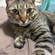 ヒメ日記 2025/08/27 08:48 投稿 しきさん いけない奥さん 梅田店