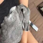 ヒメ日記 2025/08/27 23:26 投稿 しきさん いけない奥さん 梅田店