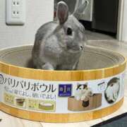 ヒメ日記 2025/09/08 22:38 投稿 しきさん いけない奥さん 梅田店