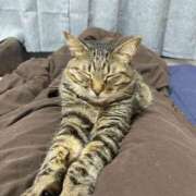 ヒメ日記 2025/09/11 23:08 投稿 しきさん いけない奥さん 梅田店