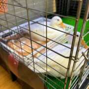 ヒメ日記 2025/10/11 22:48 投稿 しきさん いけない奥さん 梅田店