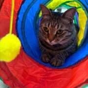 ヒメ日記 2025/10/17 22:58 投稿 しきさん いけない奥さん 梅田店