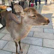 ヒメ日記 2025/10/19 22:38 投稿 しきさん いけない奥さん 梅田店