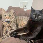 ヒメ日記 2025/10/22 22:41 投稿 しきさん いけない奥さん 梅田店