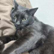 ヒメ日記 2025/10/27 23:18 投稿 しきさん いけない奥さん 梅田店