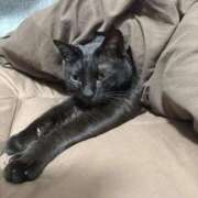 ヒメ日記 2025/10/30 20:21 投稿 しきさん いけない奥さん 梅田店