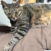 ヒメ日記 2025/11/01 23:38 投稿 しきさん いけない奥さん 梅田店