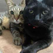 ヒメ日記 2025/11/02 18:16 投稿 しきさん いけない奥さん 梅田店