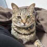 ヒメ日記 2025/12/22 23:38 投稿 しきさん いけない奥さん 梅田店