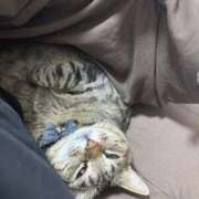 ヒメ日記 2025/12/25 19:24 投稿 しきさん いけない奥さん 梅田店