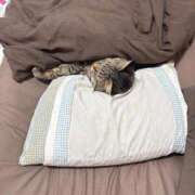 ヒメ日記 2026/01/15 22:08 投稿 しきさん いけない奥さん 梅田店