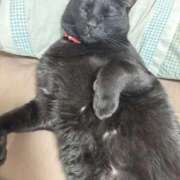 ヒメ日記 2026/02/06 23:58 投稿 しきさん いけない奥さん 梅田店