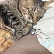 ヒメ日記 2026/02/23 22:34 投稿 しきさん いけない奥さん 梅田店