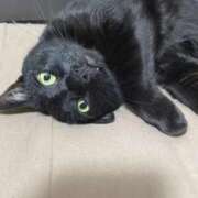 ヒメ日記 2026/03/03 22:38 投稿 しきさん いけない奥さん 梅田店