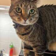 ヒメ日記 2026/03/31 19:39 投稿 しきさん いけない奥さん 梅田店