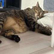 ヒメ日記 2026/04/05 17:28 投稿 しきさん いけない奥さん 梅田店