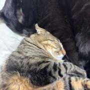 ヒメ日記 2026/04/10 21:32 投稿 しきさん いけない奥さん 梅田店