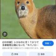 ヒメ日記 2026/07/19 00:05 投稿 しきさん いけない奥さん 梅田店