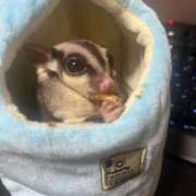 ヒメ日記 2025/07/20 05:52 投稿 すずか コスプレ女帝織姫