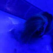 ヒメ日記 2026/04/20 09:09 投稿 とうか 町田人妻城