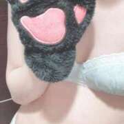 ヒメ日記 2025/12/09 04:50 投稿 てん 黒い金魚（札幌）