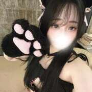 ヒメ日記 2026/01/13 15:59 投稿 りと 帯広黒い金魚