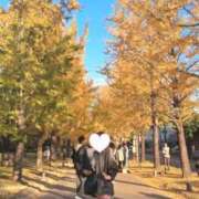 ひびき 真っ黄色！！ 人妻の秘密船橋店