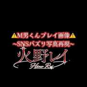 ヒメ日記 2026/09/27 12:05 投稿 火野レイ 言葉責めＭ性感イッツブーリー（横浜ハレ系）