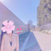 櫻子(さくらこ) ありがとう、2月.｡.:* 相模原人妻城