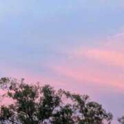 ヒメ日記 2025/09/17 09:00 投稿 まこと ごほうびSPA池袋店