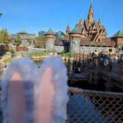 ヒメ日記 2025/09/17 18:20 投稿 まこと ごほうびSPA池袋店