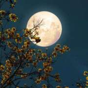 ヒメ日記 2025/06/10 19:54 投稿 間宮直美(まみやなおみ) 五十路マダムエクスプレス厚木店(カサブランカグループ)