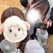 ヒメ日記 2025/07/22 05:30 投稿 はな 11チャンネル