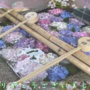 ヒメ日記 2025/06/15 22:41 投稿 ほなみ 奥様電車